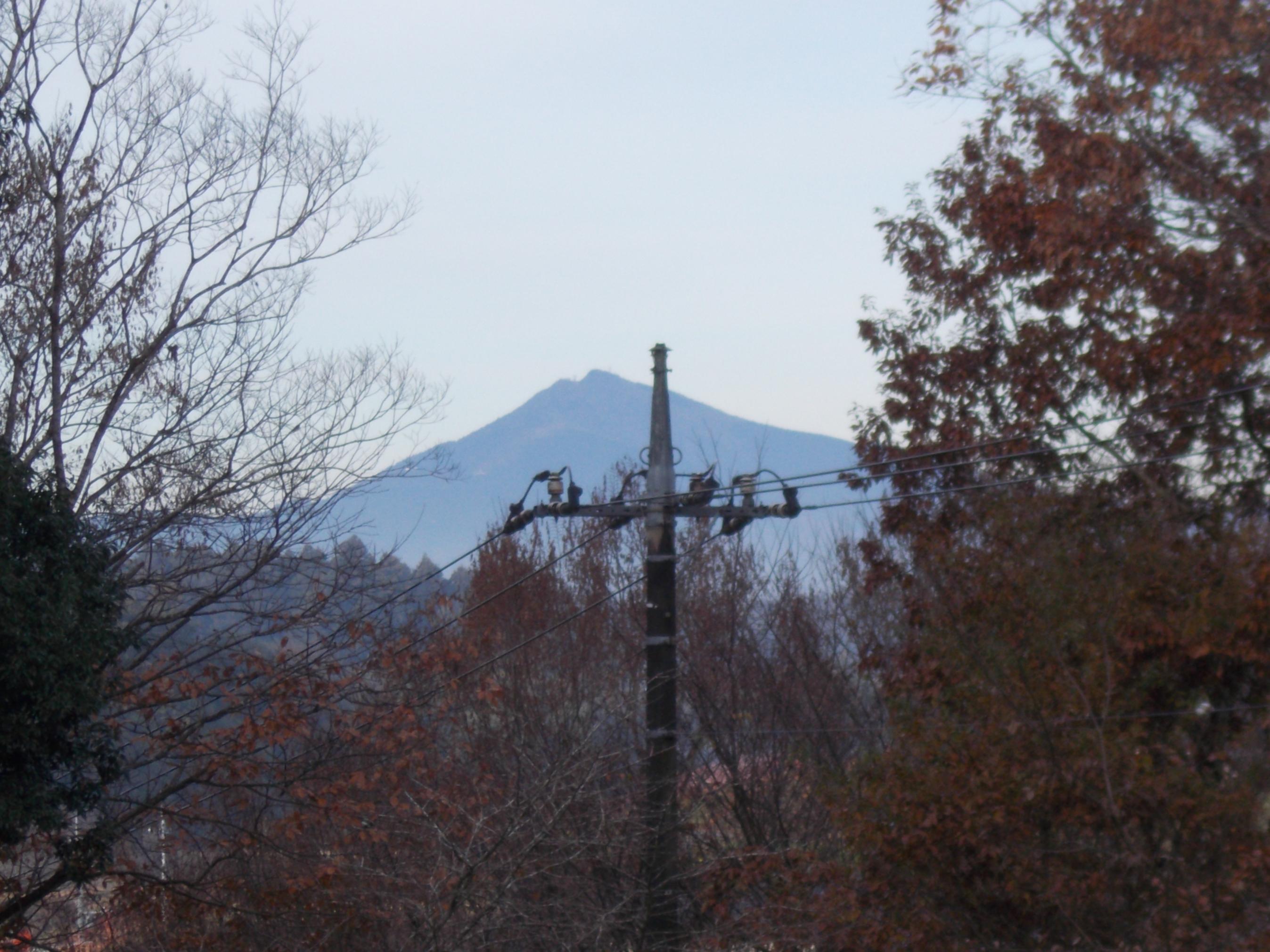 薬草園からの筑波山