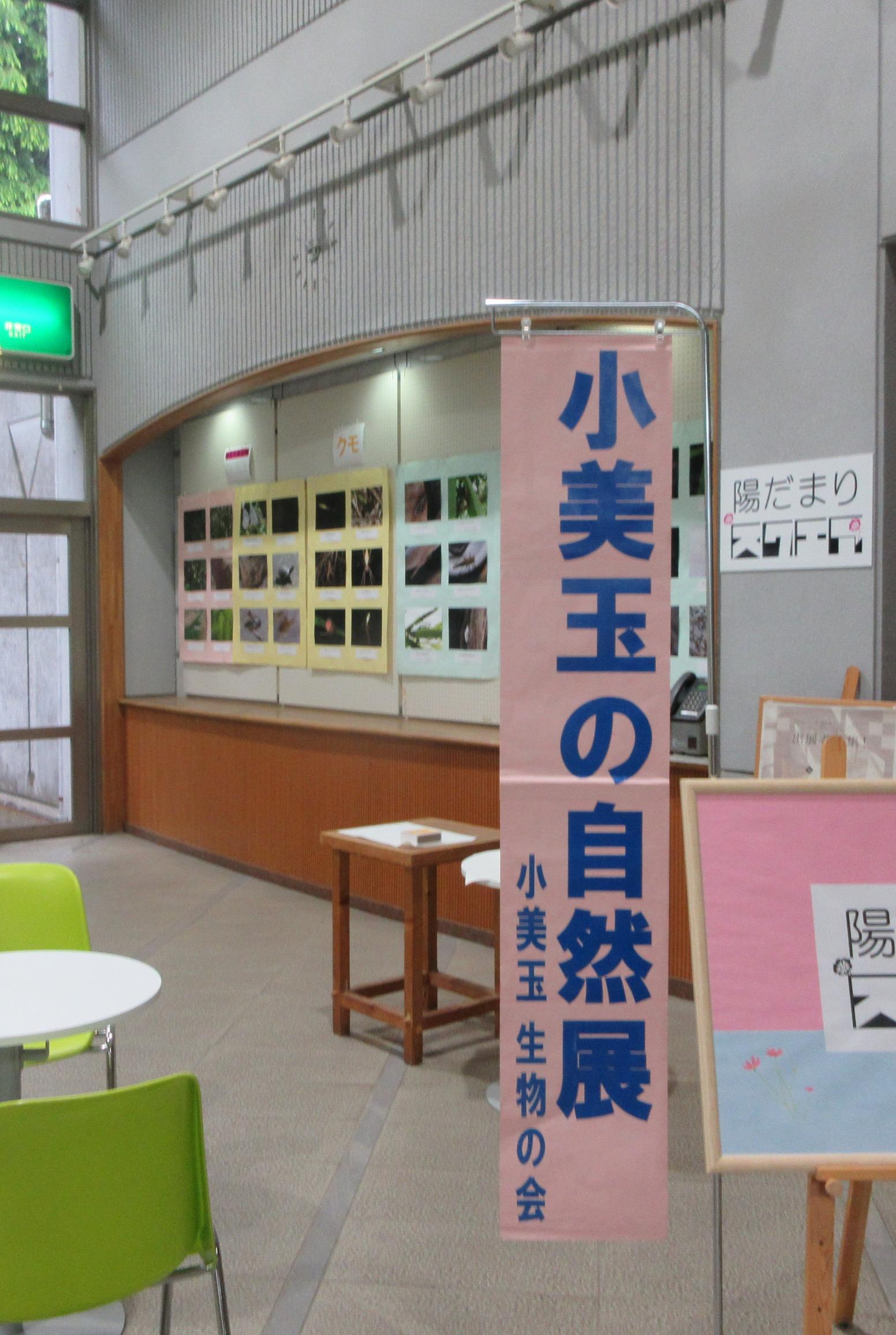 【陽だまりスクエア】小美玉市の自然展