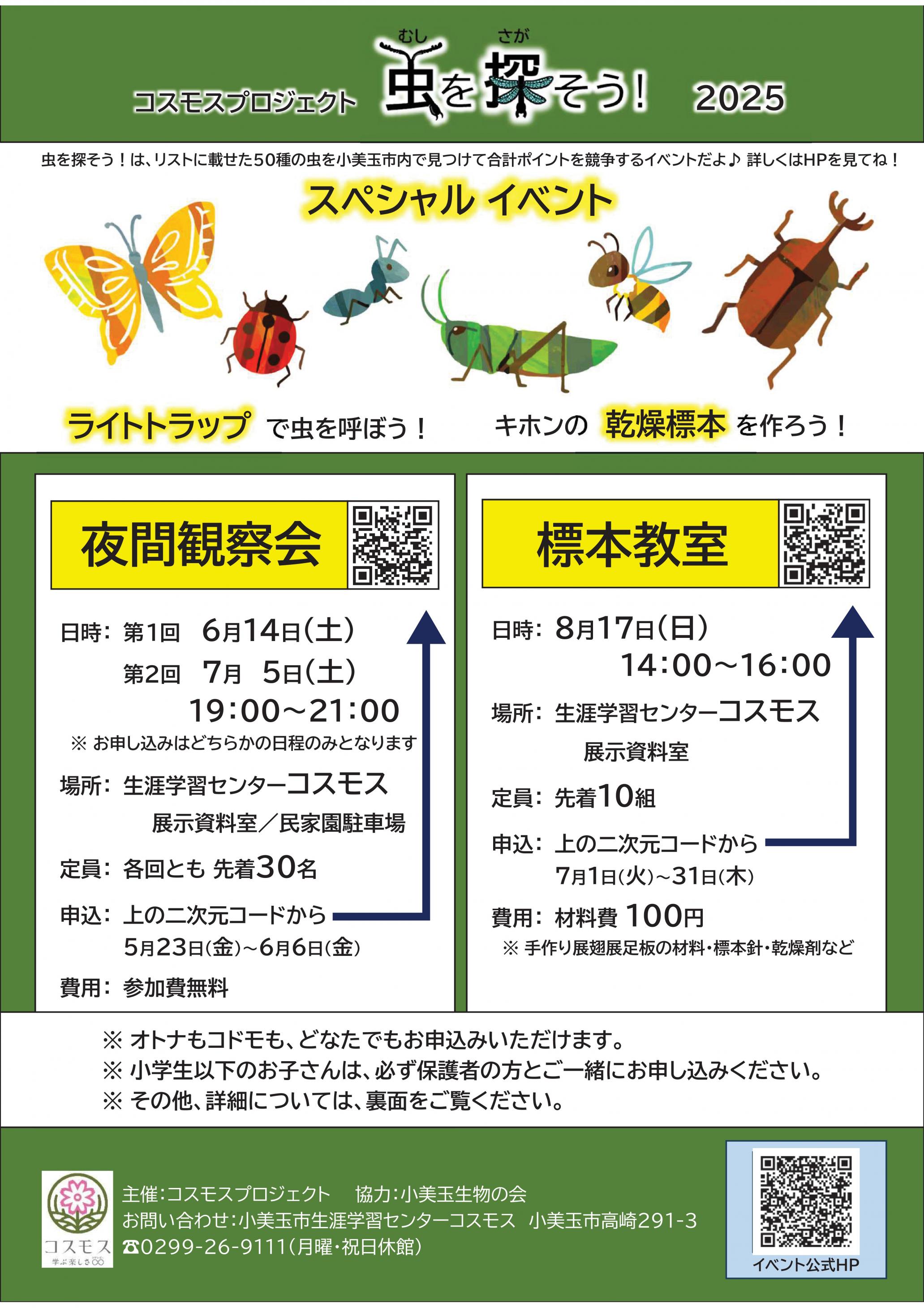 チラシ表