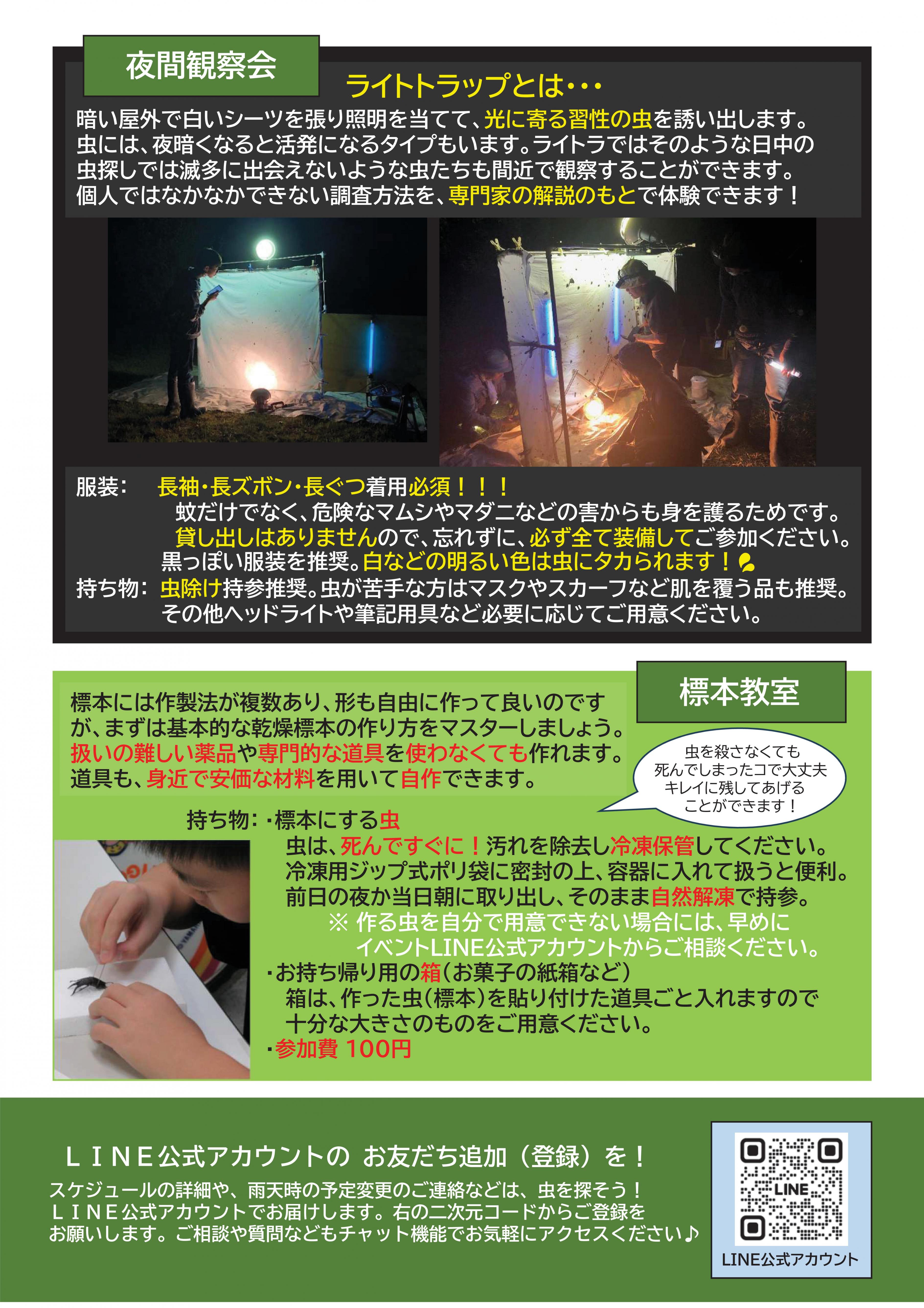 チラシ裏面
