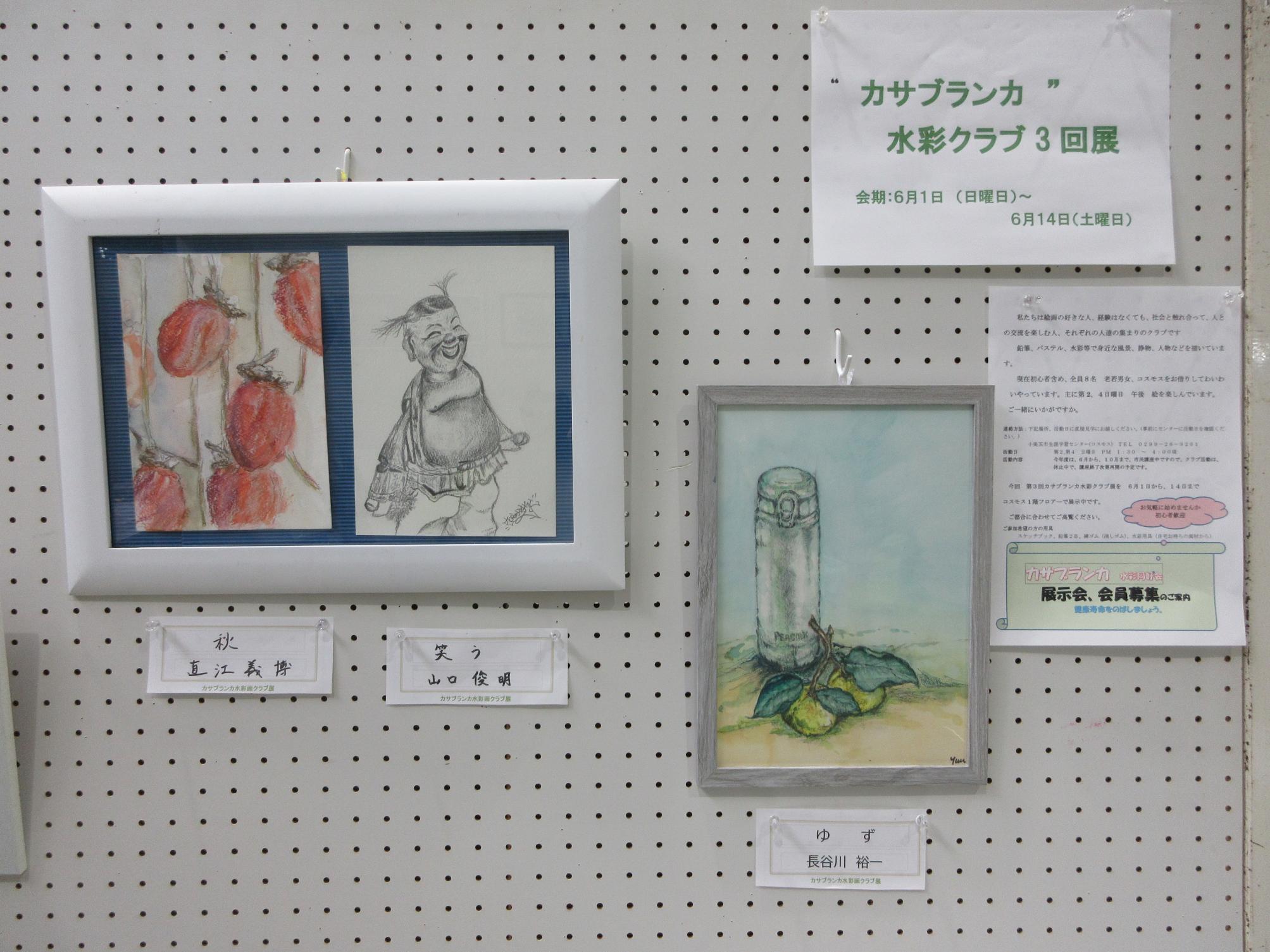 展示の様子
