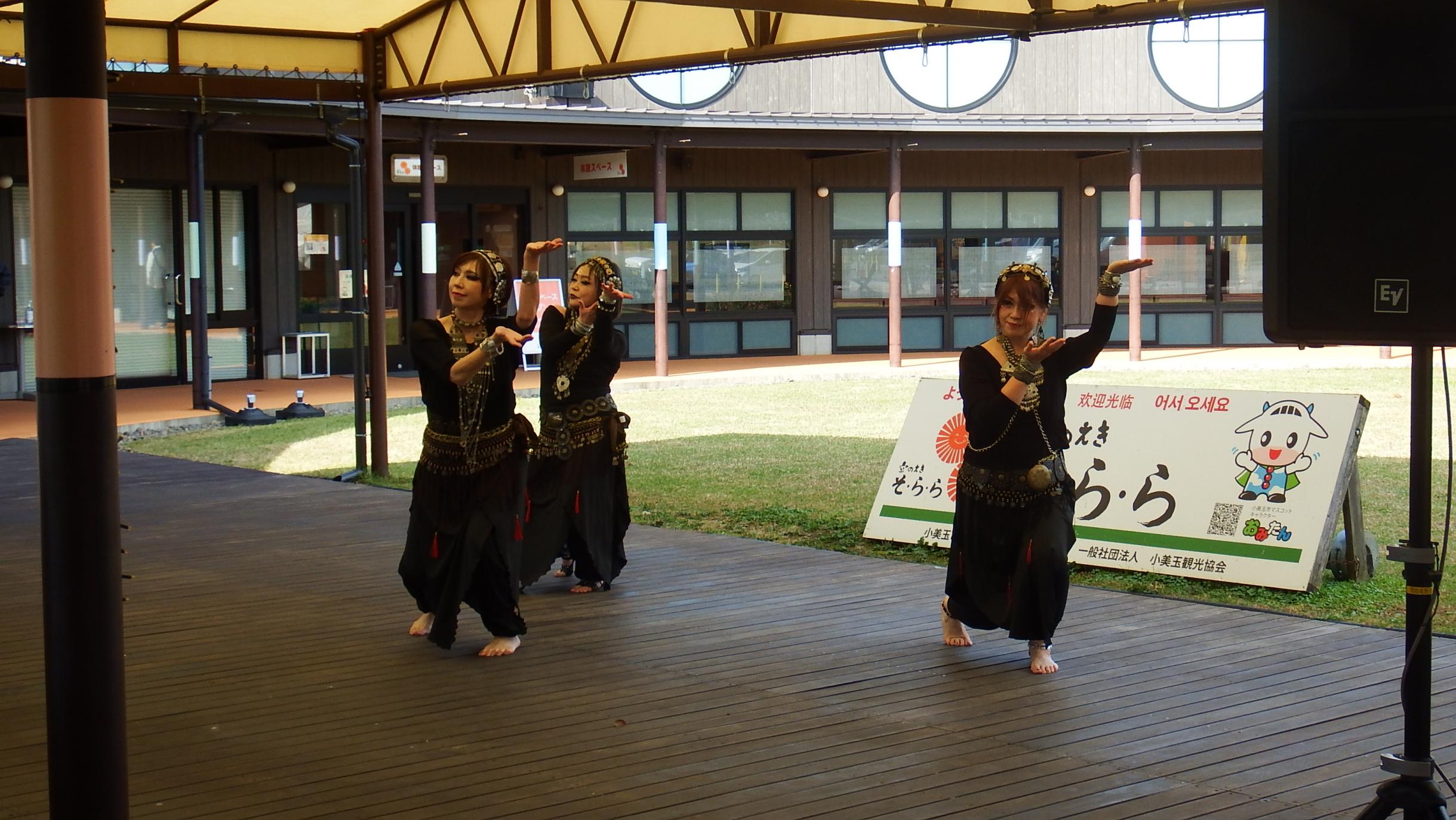 アルテシス写真2