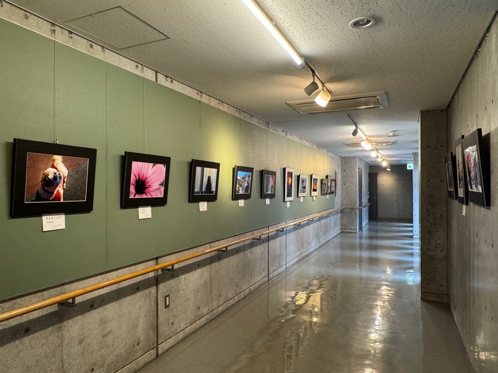 小径3全体の様子