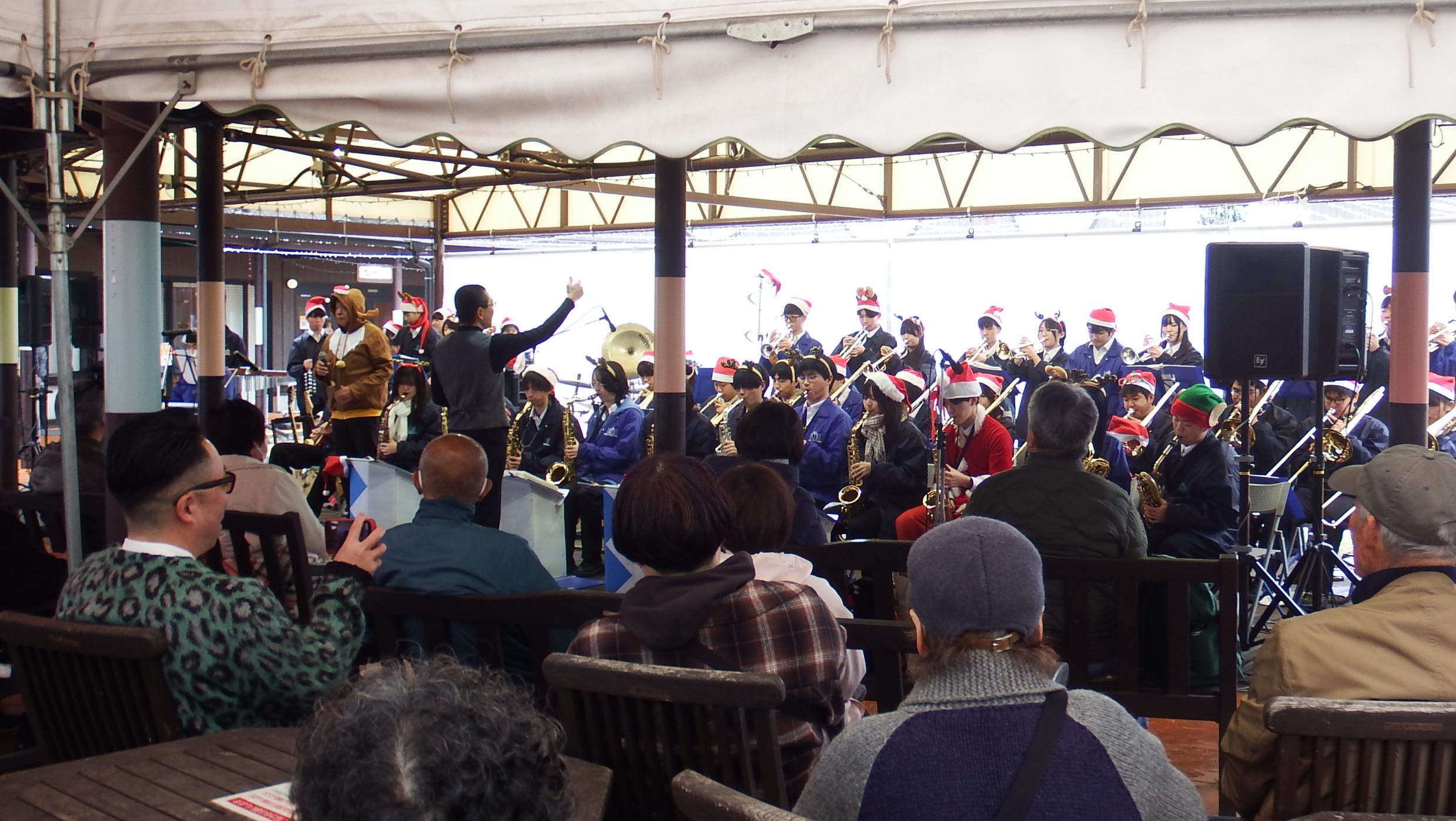 ブルービギナーズ写真4