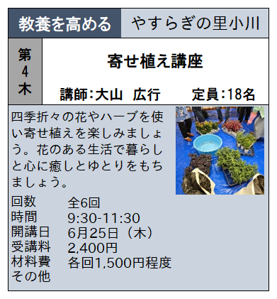 寄せ植え 寄せ植え