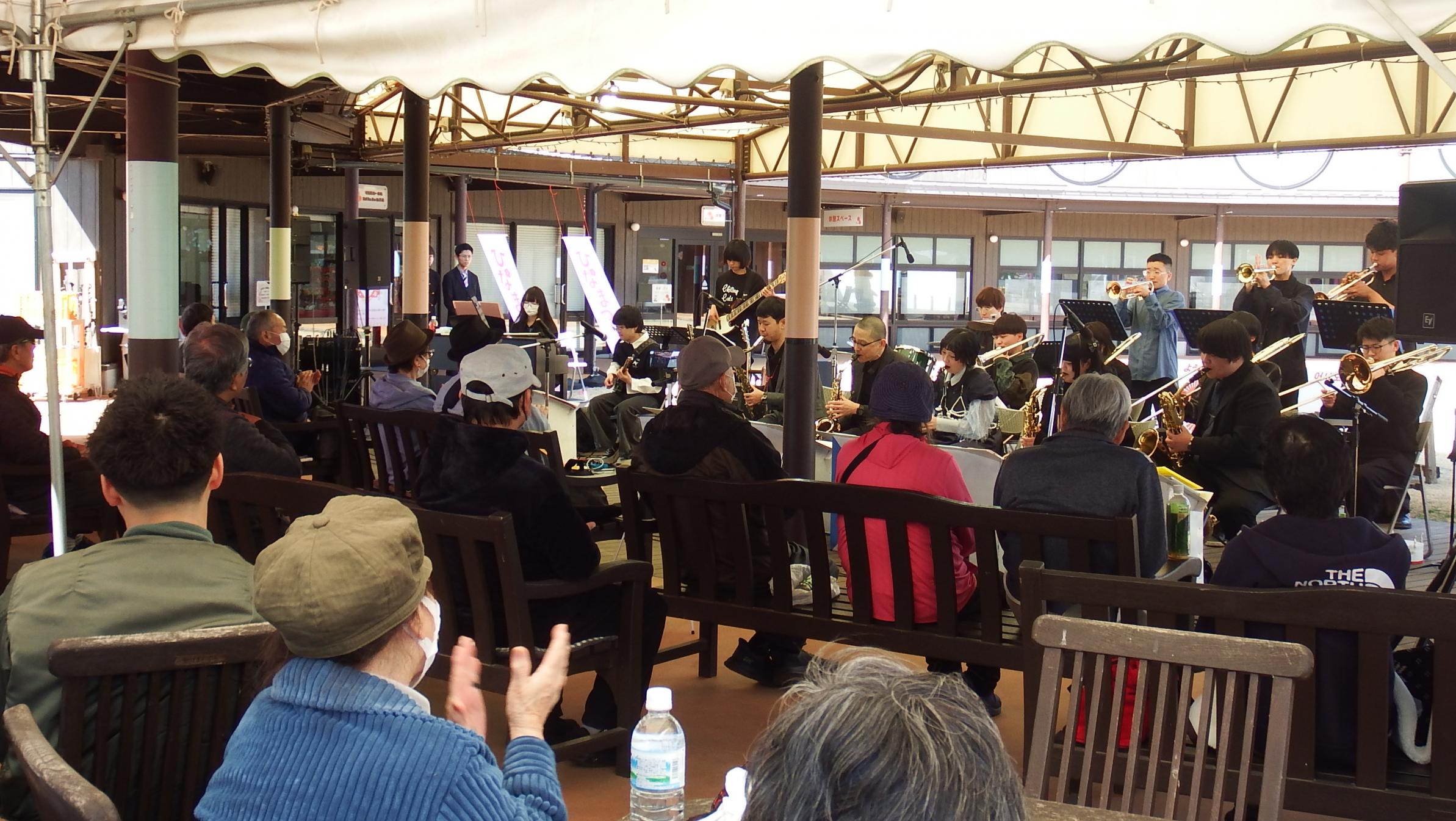 チリングキャッツ写真4