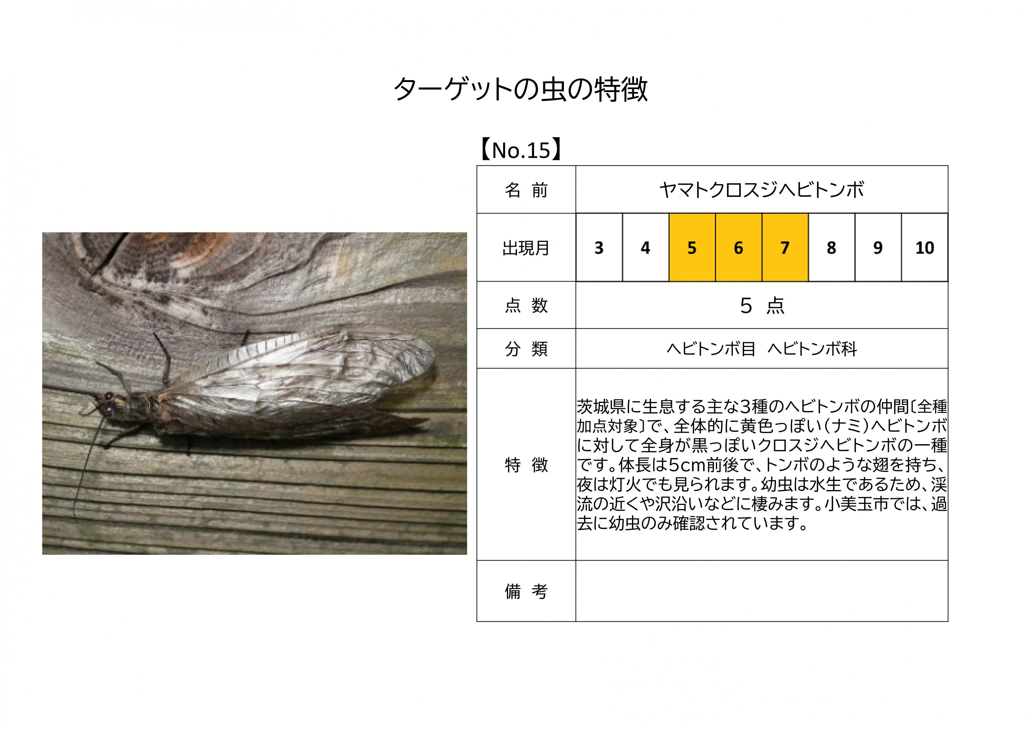 15.ヤマトクロスジヘビトンボ