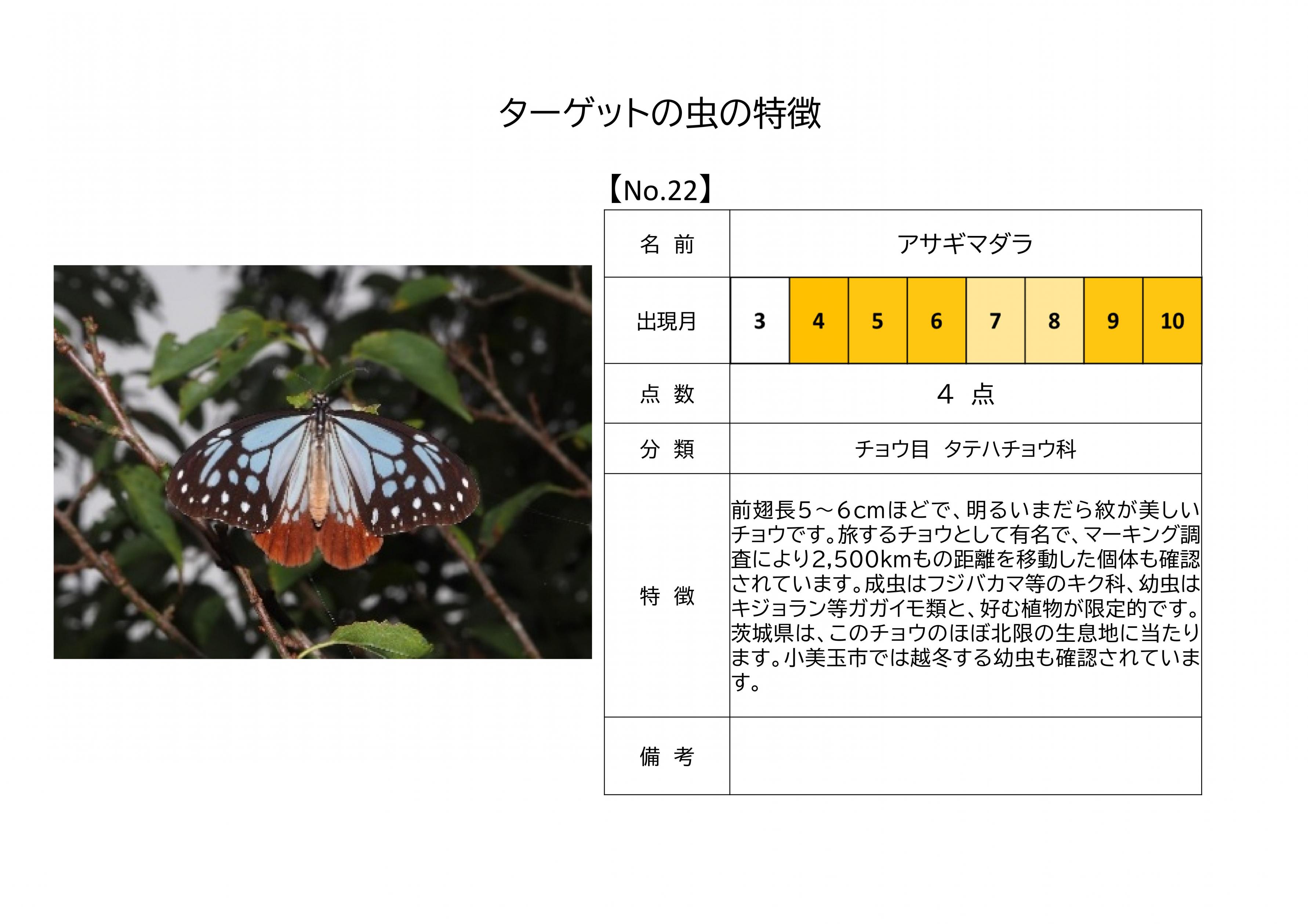 22.アサギマダラ