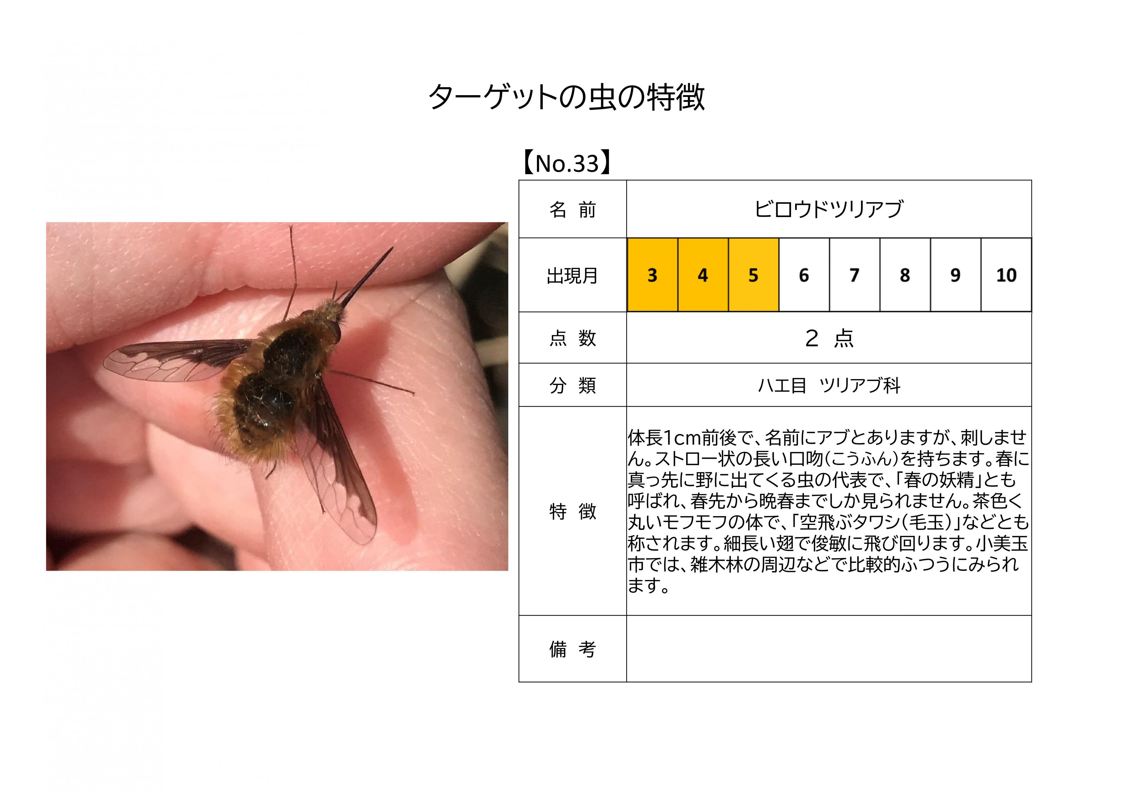 33.ビロウドツリアブ