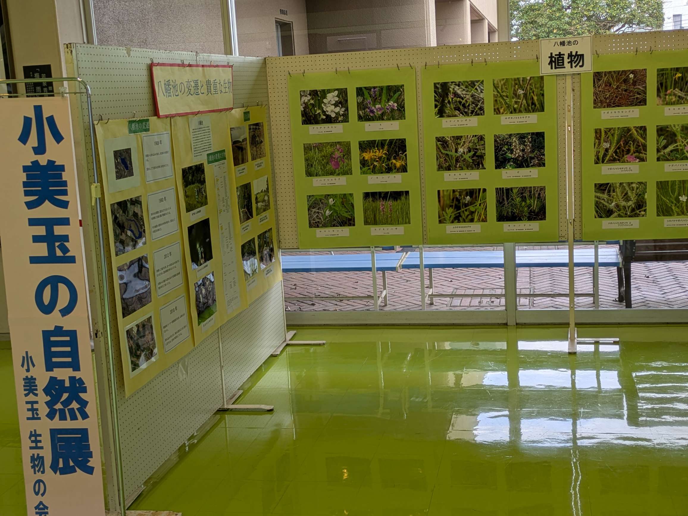 小美玉生物の会～小美玉の自然展～1