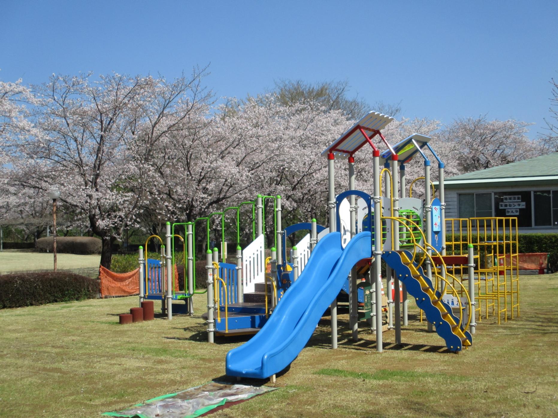 掲載用