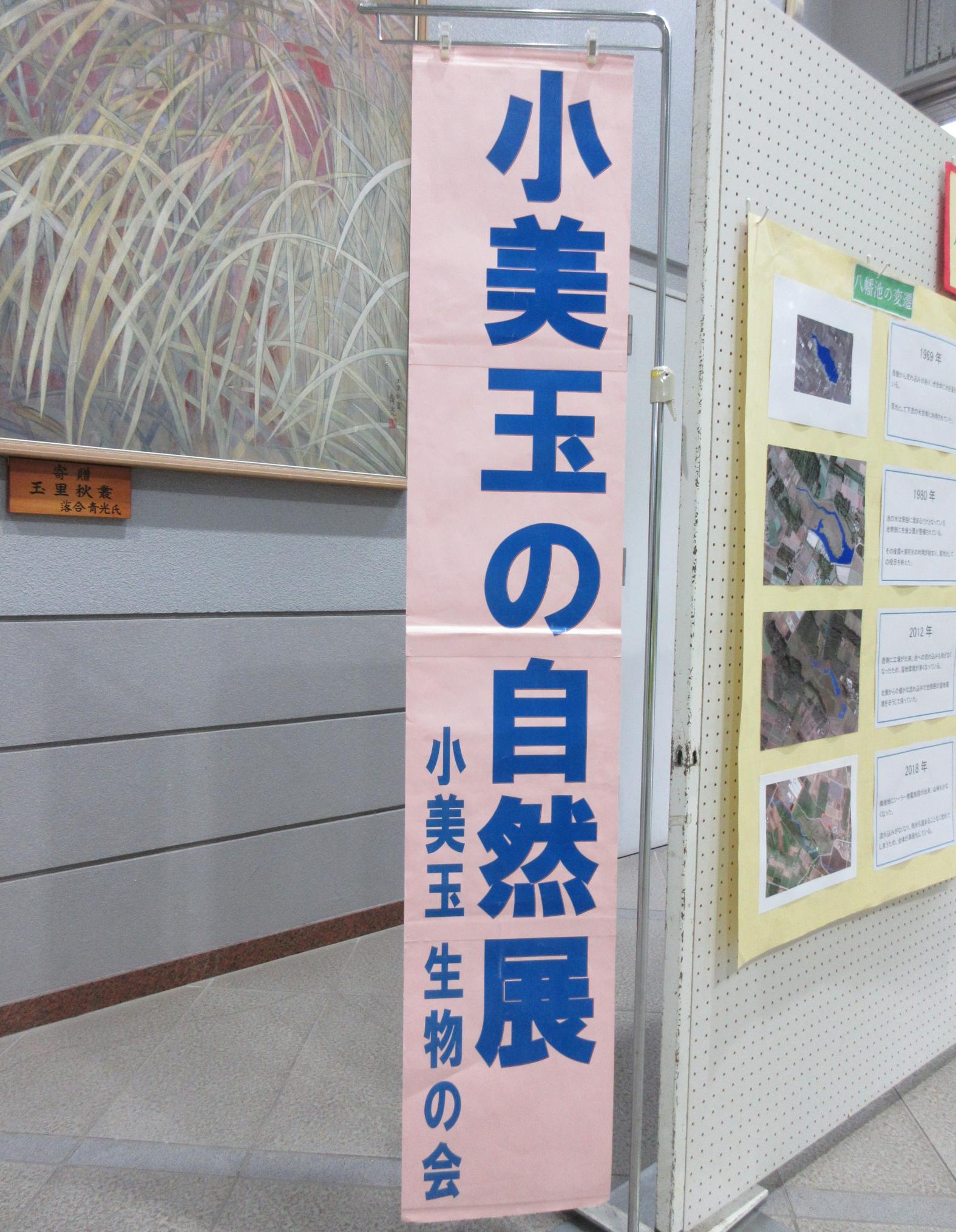 【陽だまりスクエア】八幡池の変遷と貴重な生物