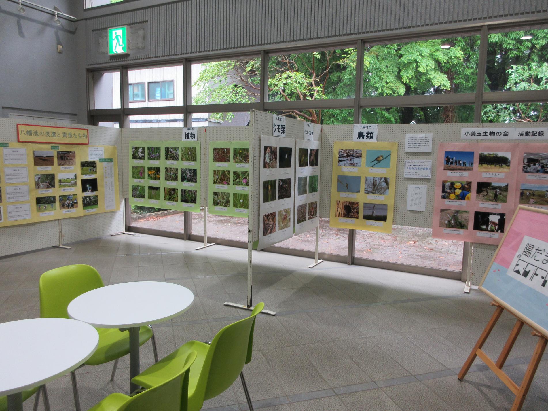 様々な写真の展示