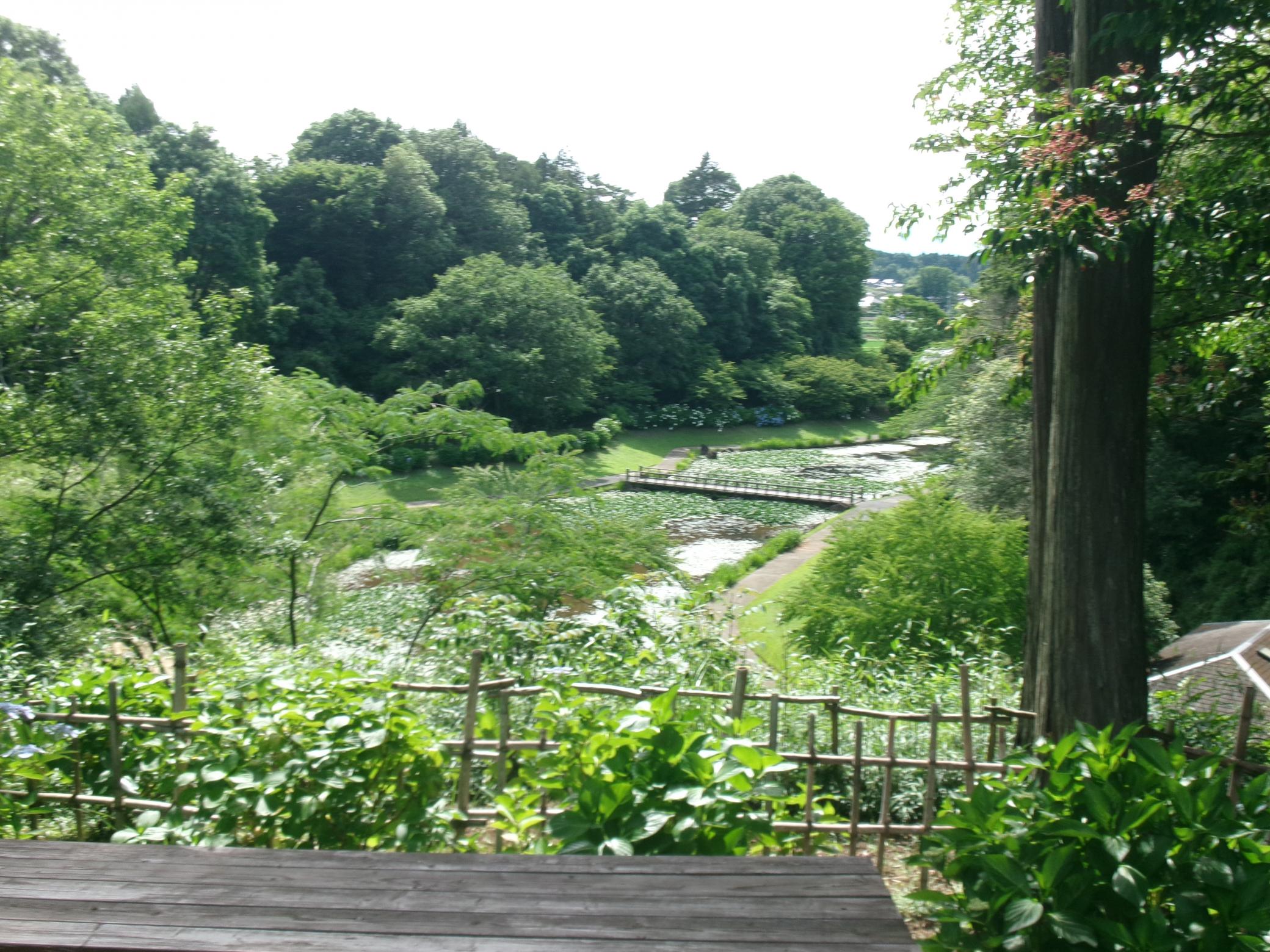 見晴らし台2