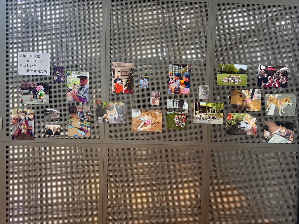 展示の様子4